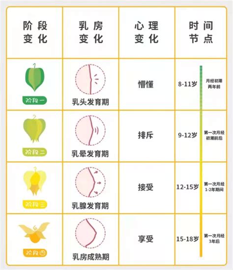 胸部發育階段